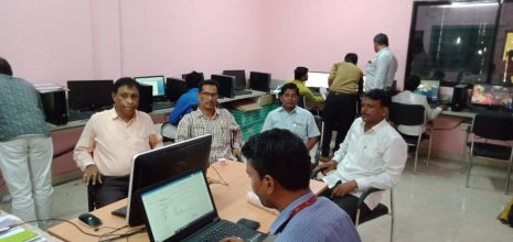 A large long-haired orange cat with a white belly.