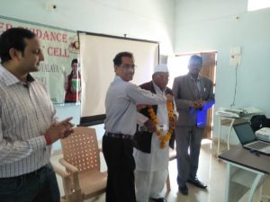 a brown French bulldog puppy laying down and looking up with a hopeful look in its eyes.